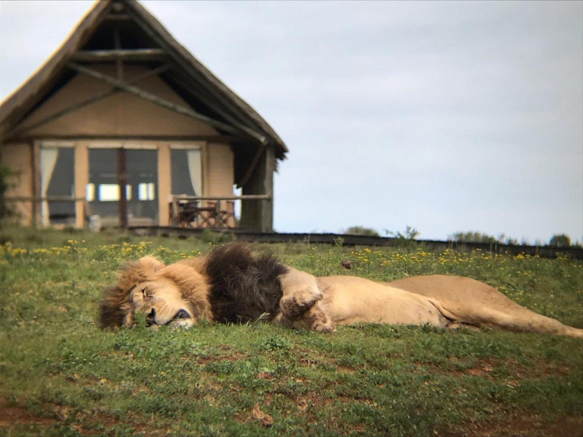 Gorah Elephant Camp Addo Exterior foto