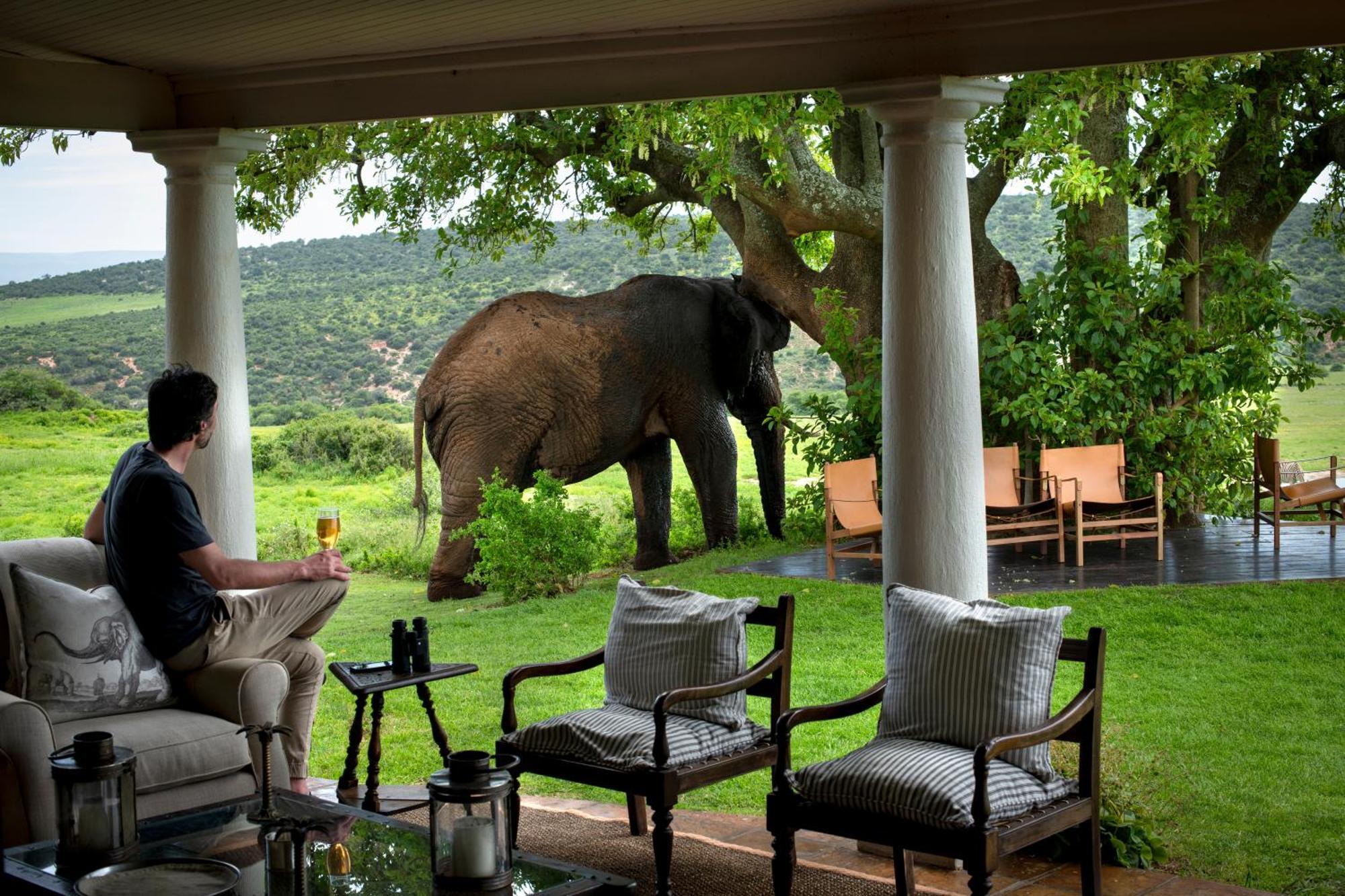 Gorah Elephant Camp Addo Exterior foto
